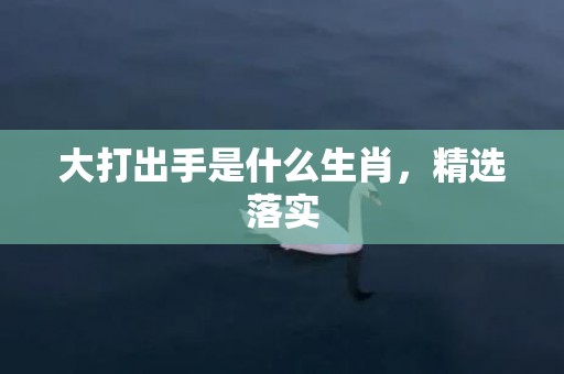 大打出手是什么生肖，精选落实