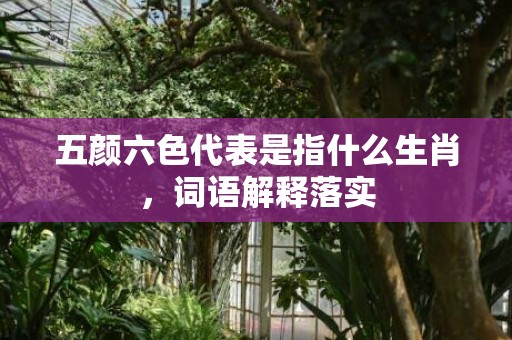 五颜六色代表是指什么生肖，词语解释落实