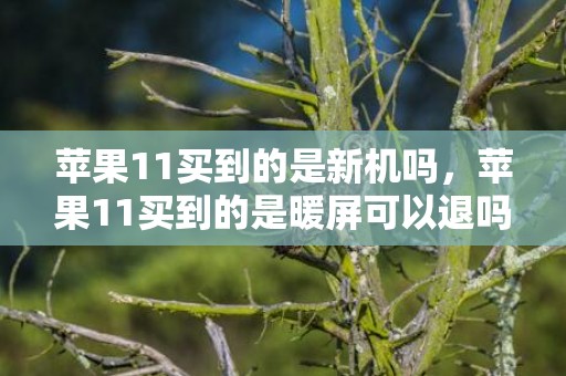 苹果11买到的是新机吗，苹果11买到的是暖屏可以退吗