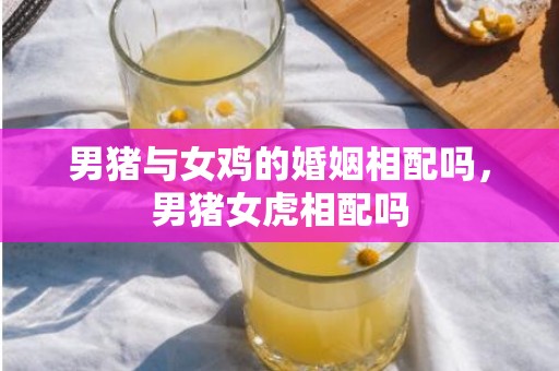 男猪与女鸡的婚姻相配吗，男猪女虎相配吗