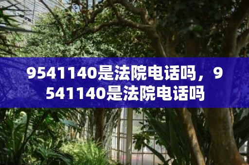 9541140是法院电话吗，9541140是法院电话吗