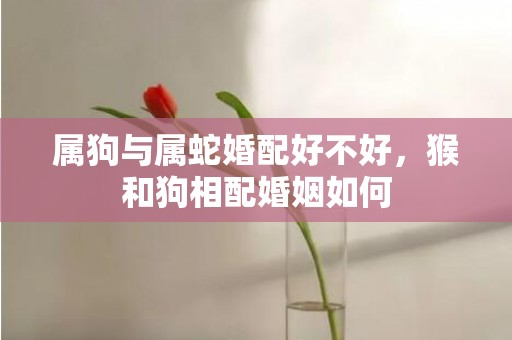 属狗与属蛇婚配好不好，猴和狗相配婚姻如何