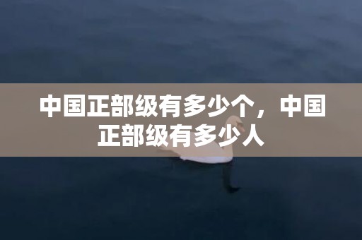 中国正部级有多少个，中国正部级有多少人
