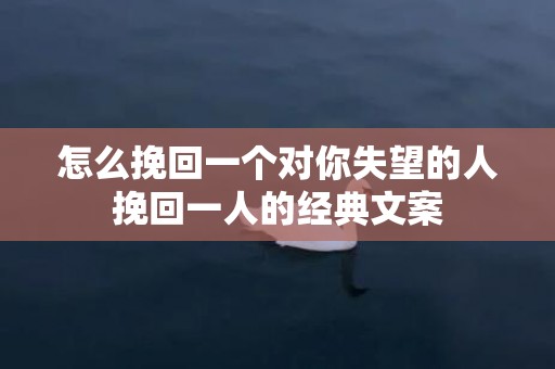 怎么挽回一个对你失望的人挽回一人的经典文案