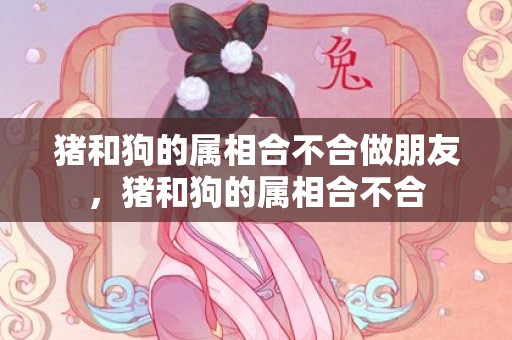 猪和狗的属相合不合做朋友，猪和狗的属相合不合