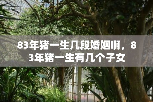 83年猪一生几段婚姻啊，83年猪一生有几个子女
