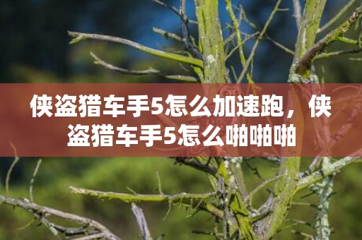 侠盗猎车手5怎么加速跑，侠盗猎车手5怎么啪啪啪
