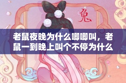 老鼠夜晚为什么唧唧叫，老鼠一到晚上叫个不停为什么