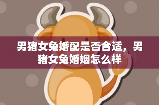 男猪女兔婚配是否合适，男猪女兔婚姻怎么样