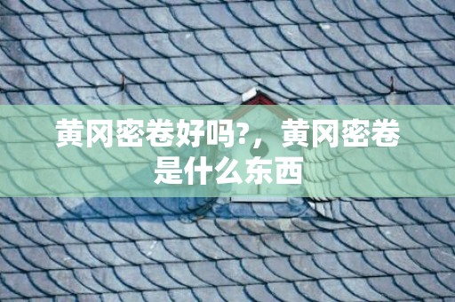 黄冈密卷好吗?，黄冈密卷是什么东西