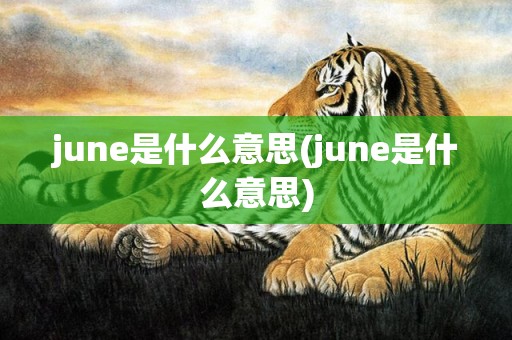 june是什么意思(june是什么意思)