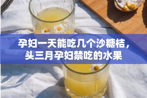 孕妇一天能吃几个沙糖桔，头三月孕妇禁吃的水果