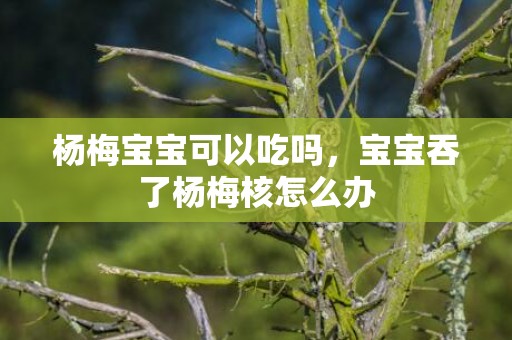 杨梅宝宝可以吃吗，宝宝吞了杨梅核怎么办