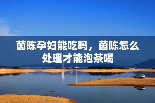 茵陈孕妇能吃吗，茵陈怎么处理才能泡茶喝