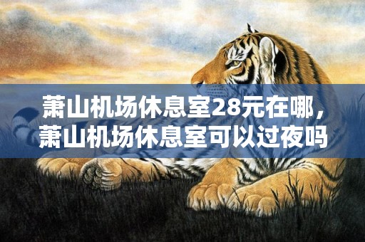 萧山机场休息室28元在哪，萧山机场休息室可以过夜吗