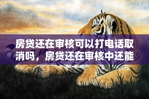 房贷还在审核可以打电话取消吗，房贷还在审核中还能继续网贷吗