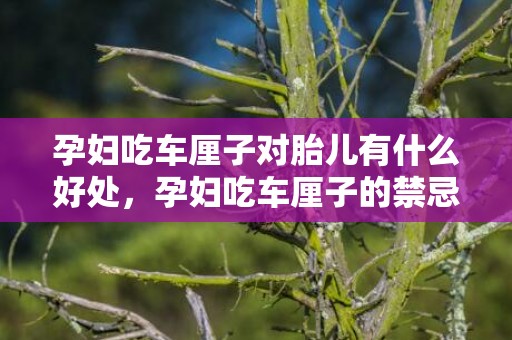 孕妇吃车厘子对胎儿有什么好处，孕妇吃车厘子的禁忌