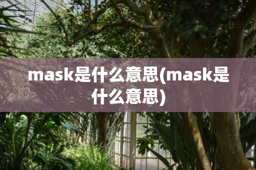 mask是什么意思(mask是什么意思)