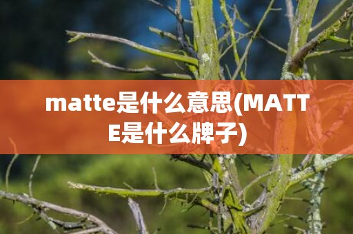 matte是什么意思(MATTE是什么牌子)