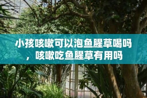 小孩咳嗽可以泡鱼腥草喝吗，咳嗽吃鱼腥草有用吗