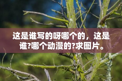 这是谁写的呀哪个的，这是谁?哪个动漫的?求图片。