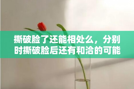 撕破脸了还能相处么，分别时撕破脸后还有和洽的可能吗?