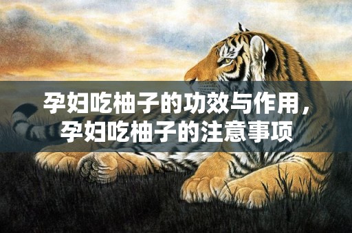 孕妇吃柚子的功效与作用，孕妇吃柚子的注意事项