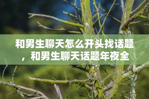 和男生聊天怎么开头找话题，和男生聊天话题年夜全
