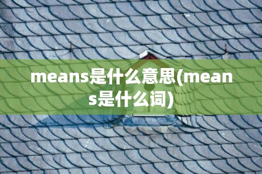 means是什么意思(means是什么词)