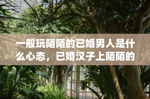 一般玩陌陌的已婚男人是什么心态，已婚汉子上陌陌的目标(上陌陌都是什么目标呢)