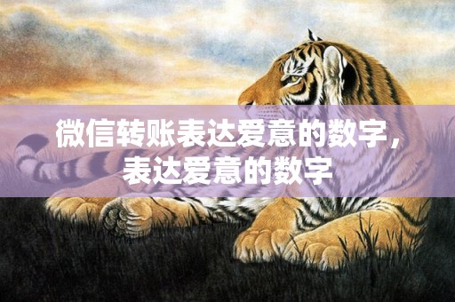 微信转账表达爱意的数字，表达爱意的数字