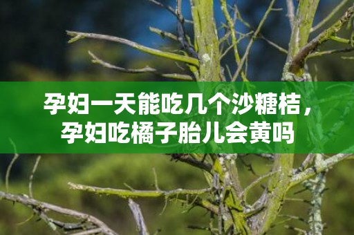 孕妇一天能吃几个沙糖桔，孕妇吃橘子胎儿会黄吗