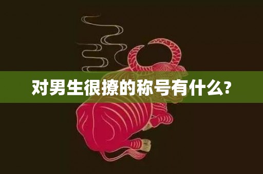 对男生很撩的称号有什么?