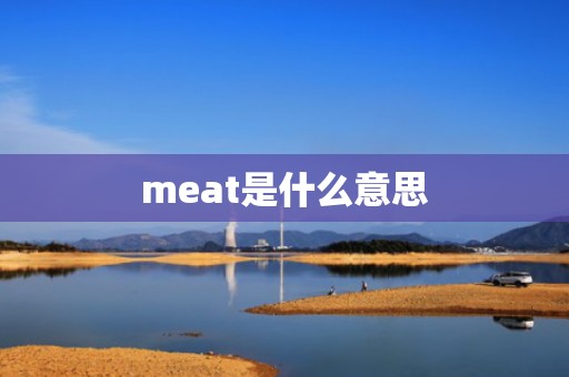 meat是什么意思