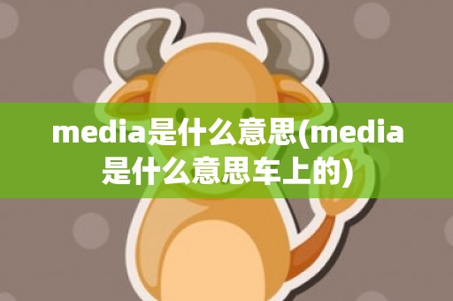 media是什么意思(media是什么意思车上的)