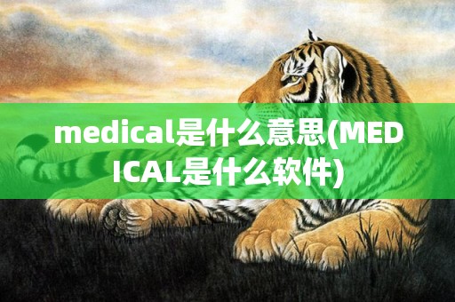 medical是什么意思(MEDICAL是什么软件)