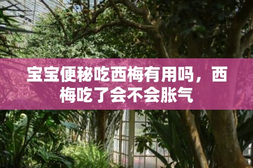 宝宝便秘吃西梅有用吗，西梅吃了会不会胀气