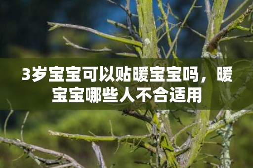 3岁宝宝可以贴暖宝宝吗，暖宝宝哪些人不合适用