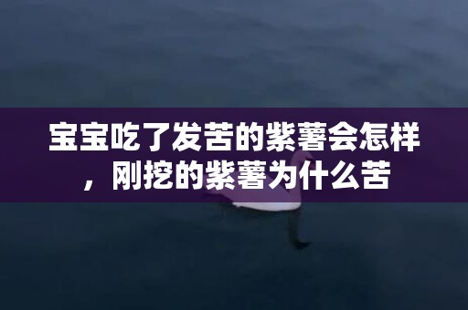 宝宝吃了发苦的紫薯会怎样，刚挖的紫薯为什么苦