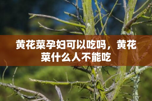 黄花菜孕妇可以吃吗，黄花菜什么人不能吃