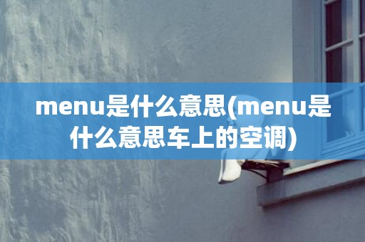 menu是什么意思(menu是什么意思车上的空调)