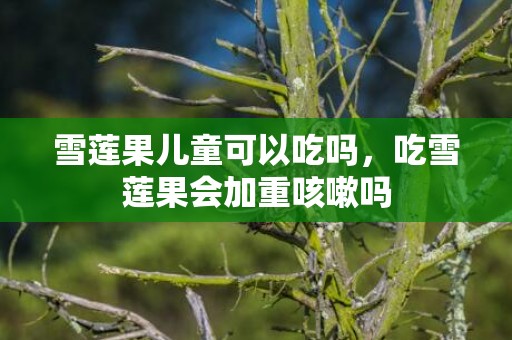 雪莲果儿童可以吃吗，吃雪莲果会加重咳嗽吗