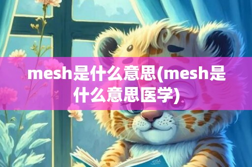 mesh是什么意思(mesh是什么意思医学)