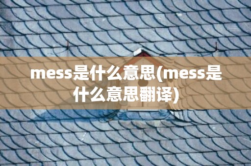 mess是什么意思(mess是什么意思翻译)