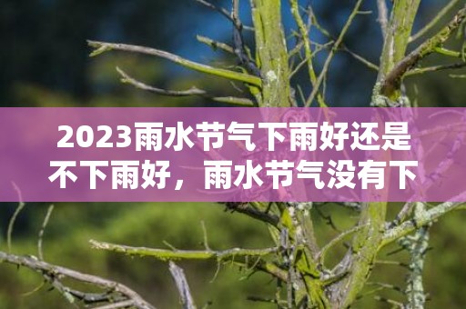 2023雨水节气下雨好还是不下雨好，雨水节气没有下雨意味什么