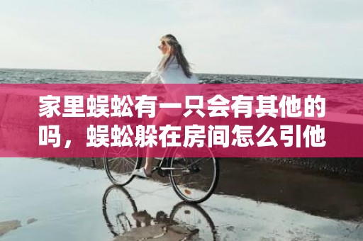 家里蜈蚣有一只会有其他的吗，蜈蚣躲在房间怎么引他出来