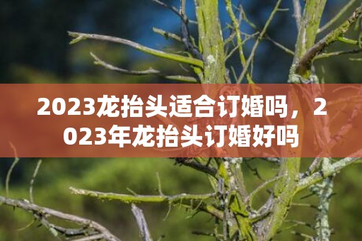 2023龙抬头适合订婚吗，2023年龙抬头订婚好吗