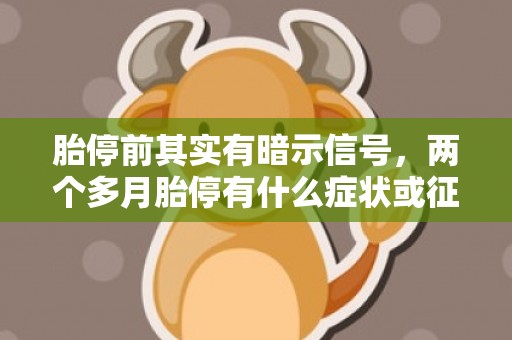 胎停前其实有暗示信号，两个多月胎停有什么症状或征兆吗