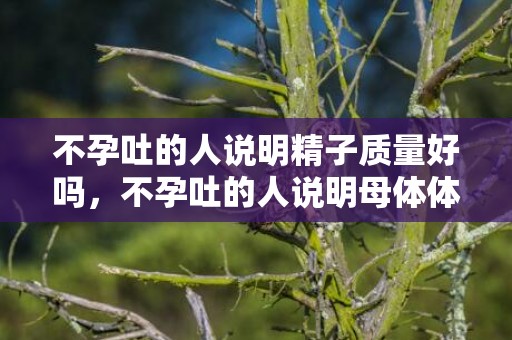 不孕吐的人说明精子质量好吗，不孕吐的人说明母体体质好吗
