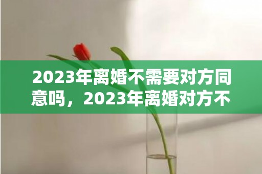 2023年离婚不需要对方同意吗，2023年离婚对方不同意能离吗